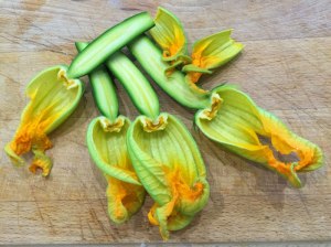 zucchini-flowers-cut
