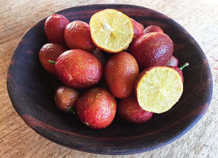 blood lime and coconut ice&nbsp;cream