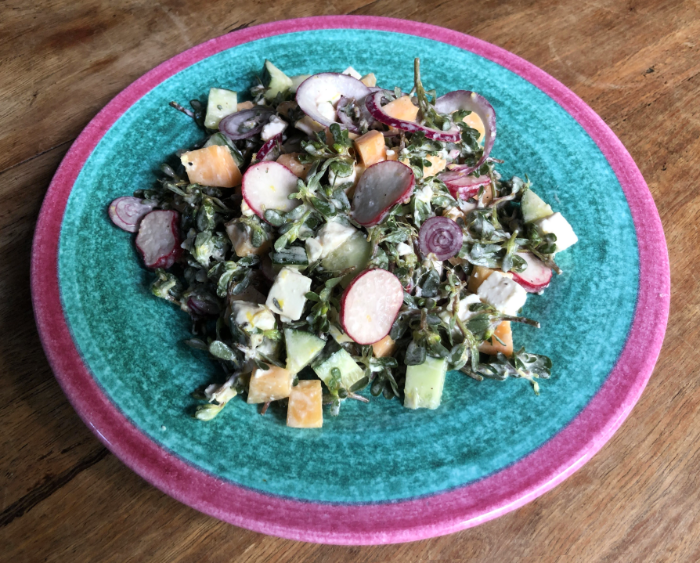 purslane salad